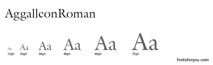 Размеры шрифта AggalleonRoman