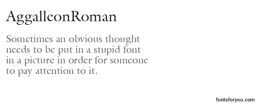 Review of the AggalleonRoman Font