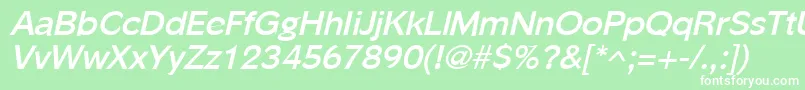 PhinsterBoldItalic Font – White Fonts on Green Background