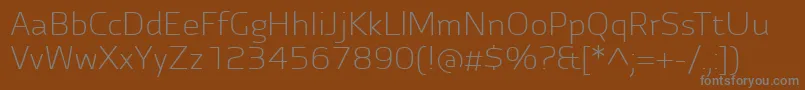 AutobahnProLight Font – Gray Fonts on Brown Background