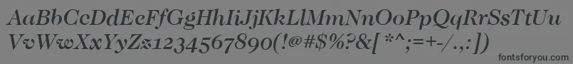 CaslonOsfMediumItalic Font – Black Fonts on Gray Background