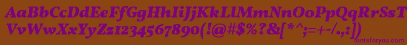 Vollkorn ffy Font – Purple Fonts on Brown Background