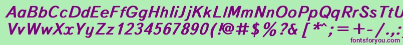 TextbookBoldItalic Font – Purple Fonts on Green Background