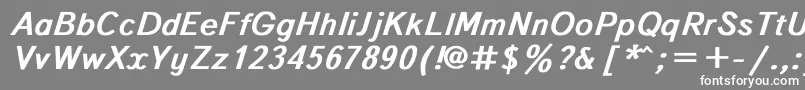 TextbookBoldItalic-fontti – valkoiset fontit harmaalla taustalla