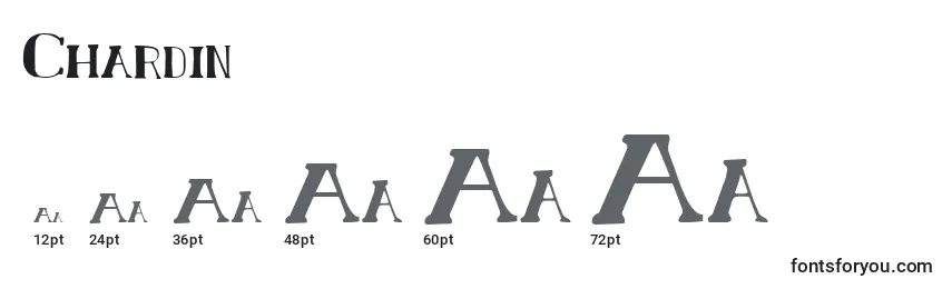 Размеры шрифта Chardin