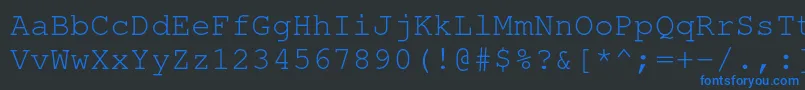 フォントNimbusmonoRegular – 黒い背景に青い文字