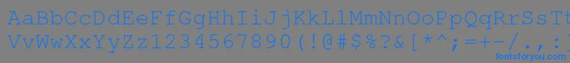 Шрифт NimbusmonoRegular – синие шрифты на сером фоне