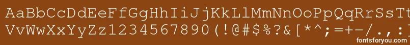 フォントNimbusmonoRegular – 茶色の背景に白い文字