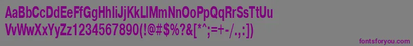 Pragmaticactt60b Font – Purple Fonts on Gray Background
