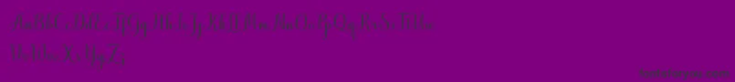 MistletoeScriptDemo Font – Black Fonts on Purple Background