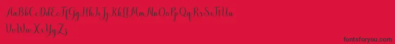 Police MistletoeScriptDemo – polices noires sur fond rouge