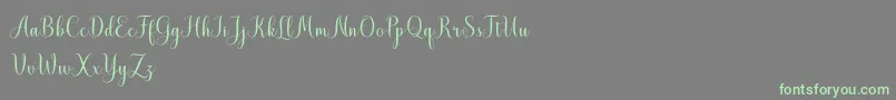 MistletoeScriptDemo Font – Green Fonts on Gray Background