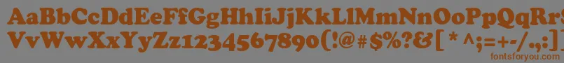 Cooper95n Font – Brown Fonts on Gray Background