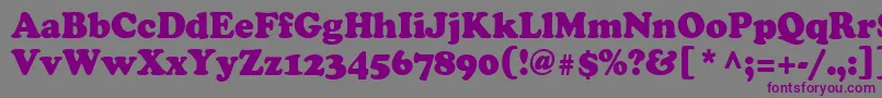 Cooper95n Font – Purple Fonts on Gray Background