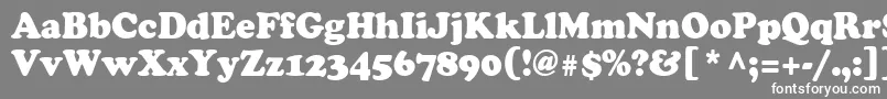 Cooper95n-Schriftart – Weiße Schriften auf grauem Hintergrund
