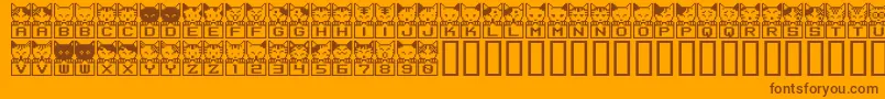 BmNecoA29 Font – Brown Fonts on Orange Background
