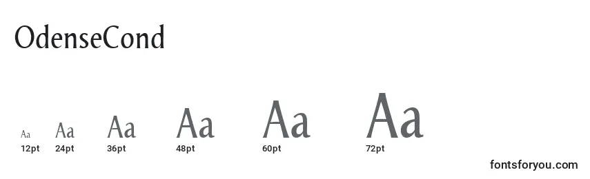 OdenseCond Font Sizes