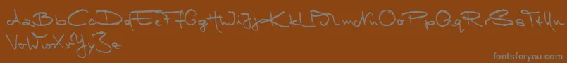 MarleenScriptMediumReduced Font – Gray Fonts on Brown Background