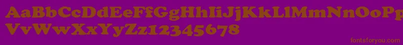 ChaceyextHeavy Font – Brown Fonts on Purple Background