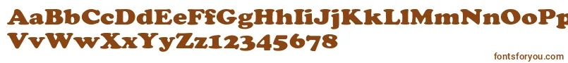 ChaceyextHeavy Font – Brown Fonts on White Background