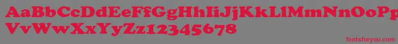 ChaceyextHeavy Font – Red Fonts on Gray Background