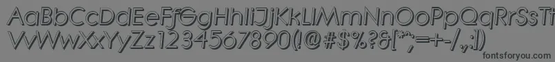 フォントLiterashadowItalic – 黒い文字の灰色の背景