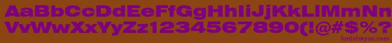 Heliosextblack Font – Purple Fonts on Brown Background