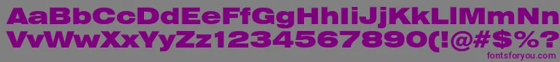 フォントHeliosextblack – 紫色のフォント、灰色の背景
