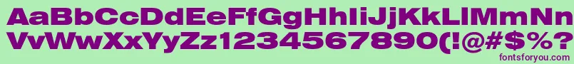 Heliosextblack Font – Purple Fonts on Green Background