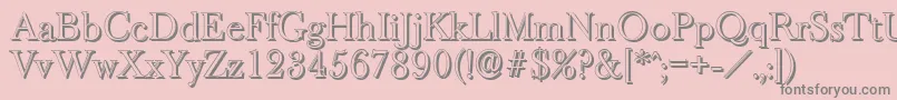 BaskeroldshadowLightRegular Font – Gray Fonts on Pink Background