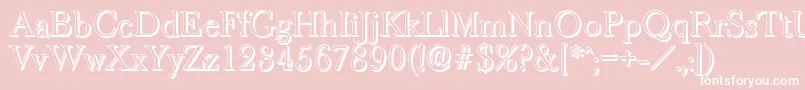BaskeroldshadowLightRegular Font – White Fonts on Pink Background