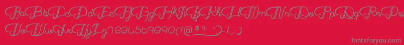 HaricotMagique Font – Gray Fonts on Red Background