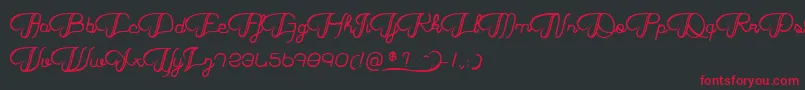 HaricotMagique Font – Red Fonts on Black Background