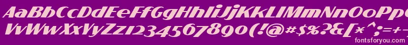 FlighterPersonalUseOnly Font – Pink Fonts on Purple Background