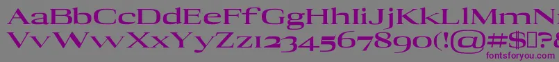 AdonBlack Font – Purple Fonts on Gray Background