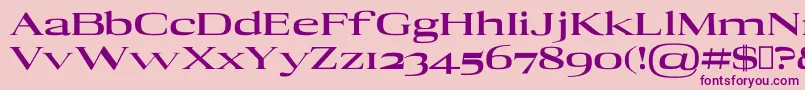 En savoir plus sur la police AdonBlack Police AdonBlack – polices violettes sur fond rose