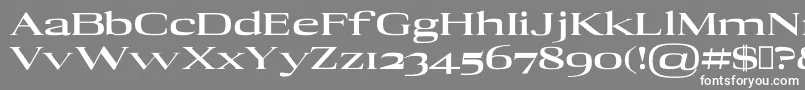 フォントAdonBlack – 灰色の背景に白い文字