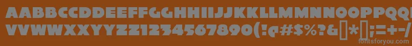 フォントXylitolSolo – 茶色の背景に灰色の文字