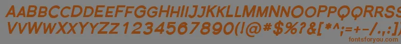 フォントFlorsn36 – 茶色の文字が灰色の背景にあります。