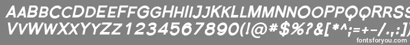 Florsn36 Font – White Fonts on Gray Background