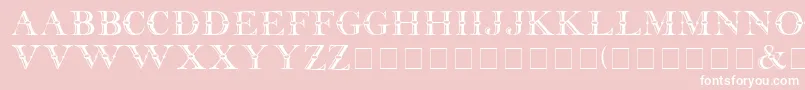 31 Font – White Fonts on Pink Background