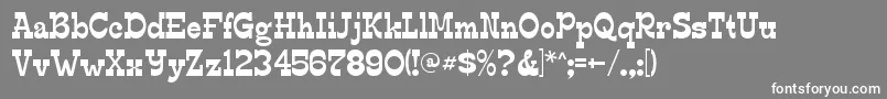 EdmundsRegular Font – White Fonts on Gray Background