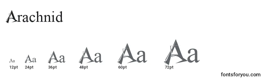 Размеры шрифта Arachnid
