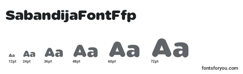 Размеры шрифта SabandijaFontFfp (76154)