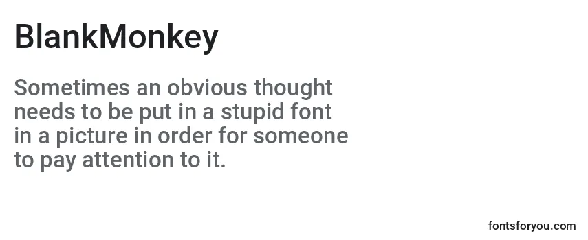 BlankMonkey Font