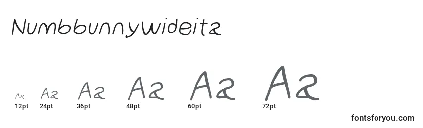 Размеры шрифта Numbbunnywideita