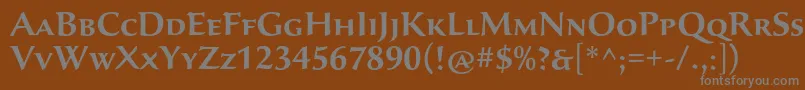 フォントSavaproSemibold – 茶色の背景に灰色の文字