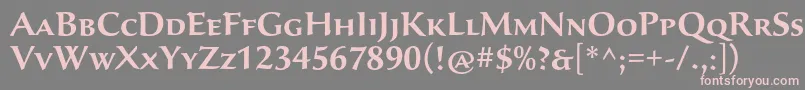 フォントSavaproSemibold – 灰色の背景にピンクのフォント