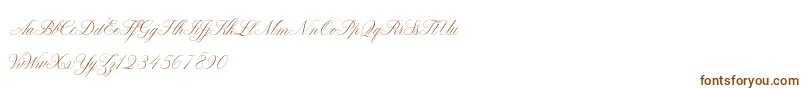 Шрифт ClaudyaDemo – коричневые шрифты на белом фоне