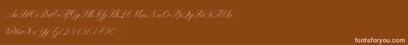 ClaudyaDemo Font – Pink Fonts on Brown Background
